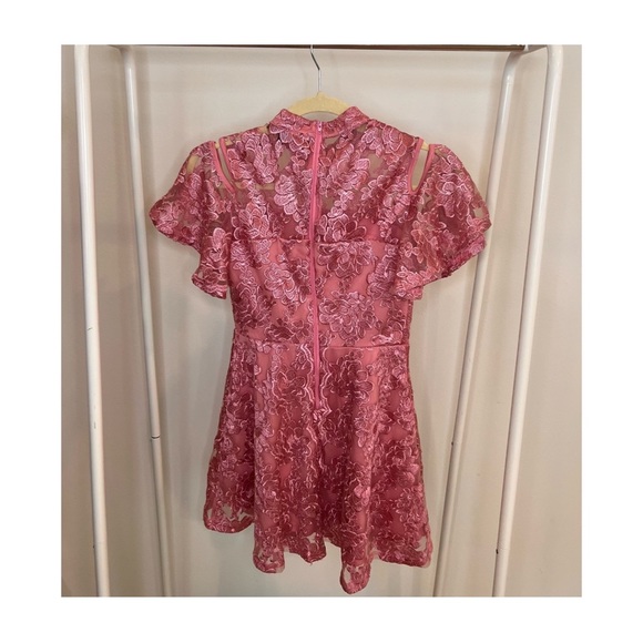 Miss Behave Pink Dress w Roses - Picture 2 of 3